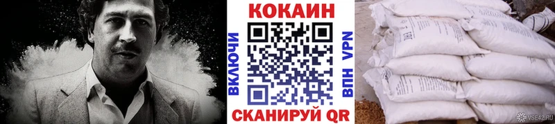 Купить где Вологда КОКАИН FishScale