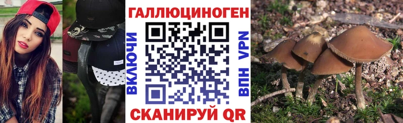 Псилоцибиновые грибы мицелий Вологда