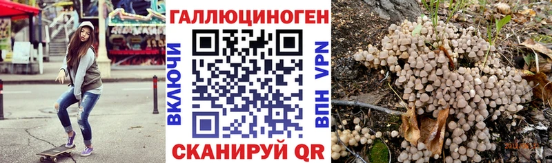 Псилоцибиновые грибы прущие грибы  Купить где  Вологда 